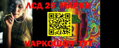 PSILOCYBIN Заволжье
