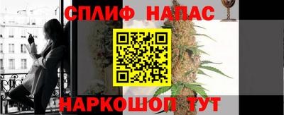 PSILOCYBIN Заволжье