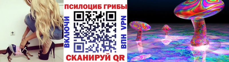 мориарти клад  дарнет шоп  Первоуральск  Псилоцибиновые грибы GOLDEN TEACHER 
